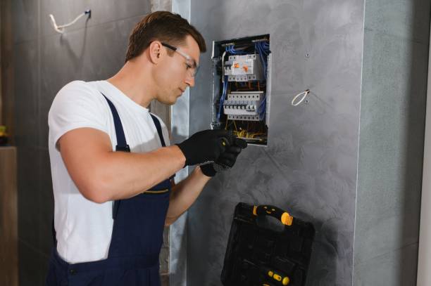 Best Electric Panel Repair  in Limestone, IL